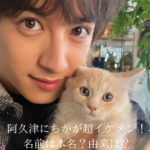 男性と猫