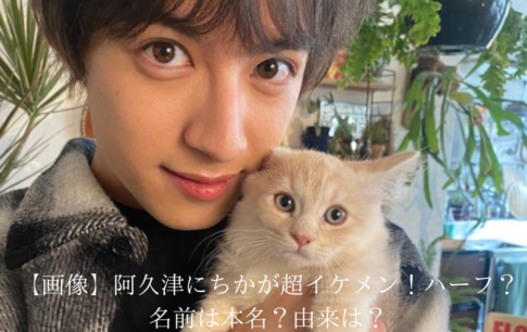 男性と猫